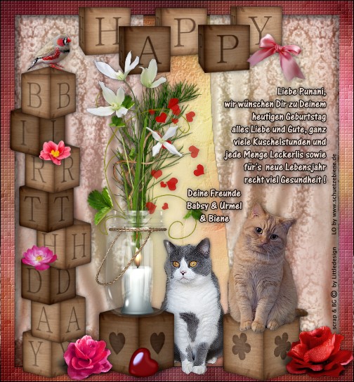 An den Beitrag angehängtes Bild: http://www.schuetzebiene.de/Diverses/juni-13-06-19-Punani-NiPu-Geburstag.jpg