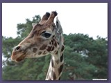 Serengeti-Park