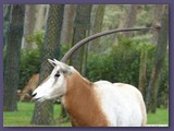 Serengeti-Park