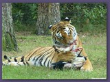 Serengeti-Park