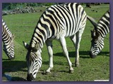 Serengeti-Park