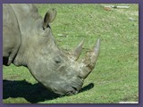 Serengeti-Park