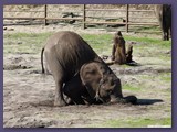 Serengeti-Park