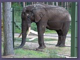 Serengeti-Park