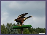 Weltvogelpark Walsrode
