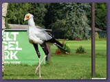 Weltvogelpark Walsrode