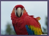 Weltvogelpark Walsrode5