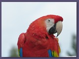 Weltvogelpark Walsrode