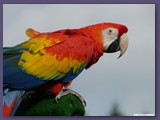 Weltvogelpark Walsrode