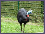 Weltvogelpark Walsrode