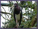 Weltvogelpark Walsrode