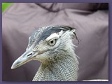 Weltvogelpark Walsrode