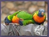 Weltvogelpark Walsrode