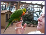 Weltvogelpark Walsrode