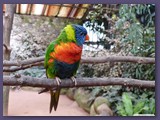 Weltvogelpark Walsrode