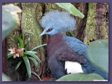 Weltvogelpark Walsrode