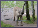 Opel-Zoo Kronberg
