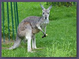 Opel-Zoo Kronberg