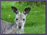Opel-Zoo Kronberg