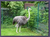 Opel-Zoo Kronberg