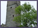 Burgruine Königstein