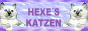 Hexes Katzen