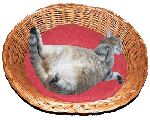 Baerli