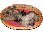 Benjie
