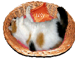 Lilly