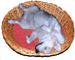 Merlin