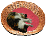 Muggi