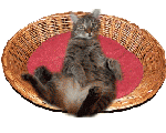 Mitzi